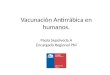Vacunación Antirrábica en humanos. Paola Sepúlveda A Encargada Regional PNI