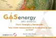 Foro: Energía y Desarrollo  “Una Visión Independiente de la Industria de Gas en Perú“