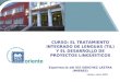 CURSO: EL TRATAMIENTO INTEGRADO DE LENGUAS (TIL) Y EL DESARROLLO DE PROYECTOS LINGÜÍSTICOS