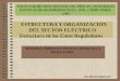ESTRUCTURA Y ORGANIZACIÓN DEL SECTOR ELÉCTRICO Estructura de los Entes Reguladores