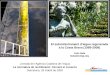 El subministrament d’aigua regenerada a la Costa Brava (1989-2009) Lluís Sala lsala@ccbgi