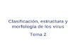 Clasificación, estructura y morfología de los virus Tema 2