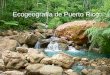 Ecogeografía de Puerto Rico