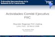 Actividades Comité Ejecutivo FIIC
