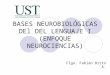 BASES NEUROBIOLÓGICAS DEl DEL LENGUAJE I (ENFOQUE NEUROCIENCIAS)