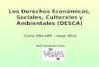 Los Derechos Económicos, Sociales, Culturales y Ambientales (DESCA)