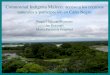 Comunidad Indígena Malecu:  acceso a los recursos naturales y participación en Caño Negro