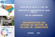 DIRECCION DE SALUD II LIMA SUR DIRECCION DE LABORATORIOS DE SALUD PÙBLICA RED DE LABORATORIOS