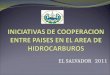INICIATIVAS DE COOPERACION ENTRE PAISES EN EL AREA DE HIDROCARBUROS