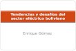Tendencias y desafíos del sector eléctrico boliviano