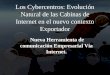 Los Cybercentros: Evolución Natural de las Cabinas de Internet en el nuevo contexto Exportador