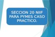 SECCION 20 NIIF PARA PYMES CASO PRACTICO