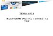 TEMA Nº14 TELEVISION DIGITAL TERRESTRE TDT