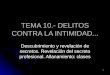 TEMA 10.- DELITOS CONTRA LA INTIMIDAD