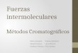 Fuerzas intermoleculares  Métodos  Cromatográficos