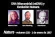 DNA Mitocondrial (mtDNA) y  Evolución Humana