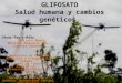 GLIFOSATO Salud humana y cambios genéticos