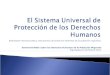 El Sistema Universal de Protección de los Derechos Humanos