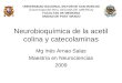 Neurobioquímica de la acetil colina y catecolaminas