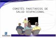 COMITÉS PARITARIOS DE SALUD OCUPACIONAL