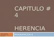 Capitulo  # 4 herencia