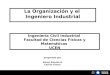 La Organización y el   Ingeniero Industrial  preparado por  Karen Kanzúa A. Cecilia Tinoco