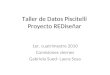 Taller de Datos Piscitelli Proyecto REDiseñar
