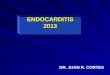 ENDOCARDITIS 2013