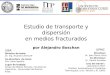 Estudio de transporte y dispersión en medios fracturados por Alejandro Boschan