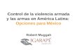 Control de la violencia armada y las armas en América Latina:  Opciones para México
