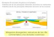 Márgenes divergentes: estructura de los rifts continentales y las dorsales oceánicas