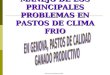 MANEJO DE LOS PRINCIPALES PROBLEMAS EN PASTOS DE CLIMA FRIO