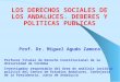 LOS DERECHOS SOCIALES DE LOS ANDALUCES. DEBERES Y POLITICAS PUBLICAS Prof. Dr. Miguel Agudo Zamora