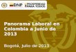 Panorama Laboral en Colombia a Junio de 2013