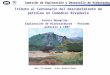Cuenca Neuquina:   Exploración de Hidrocarburos - Período anterior a 1907