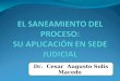 EL SANEAMIENTO DEL PROCESO:  SU APLICACIÓN EN SEDE JUDICIAL