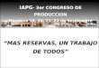 IAPG - 3er CONGRESO DE PRODUCCION Mendoza 19, 20, 21, 22 de Septiembre 2006