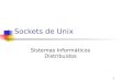 Sockets de Unix