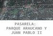 PASARELA:  PARQUE ARAUCANO Y JUAN PABLO II