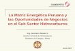 La Matriz Energética Peruana y las  Oportunidades de Negocios en el Sub Sector Hidrocarburos