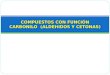 COMPUESTOS CON FUNCIÓN CARBONILO  (ALDEHIDOS Y CETONAS)