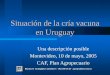 Situación de la cría vacuna en Uruguay