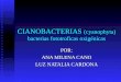 CIANOBACTERIAS  (cyanophyta) bacterias fototroficas oxigénicas