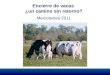 Encierre de vacas  ¿un camino sin retorno? Mercolactea 2011