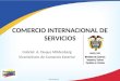 COMERCIO INTERNACIONAL DE SERVICIOS
