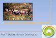 Introducción a la Pedagogía Ambiental