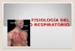 Fisiología  del Aparato Respiratorio
