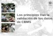 Los principios tras la validación de los datos de CBMS