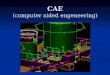 CAE (computer aided engeneering)