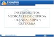 INSTRUMENTOS MUSICALES DE CUERDA PULSADA: ARPA Y GUITARRA
